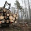 В Тайшете осудили двух мужчин за контрабанду леса на 55 миллионов рублей