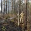 Три лесных пожара ликвидировали в Иркутской области за сутки