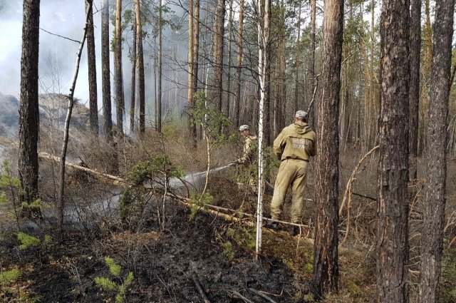 Три лесных пожара ликвидировали в Иркутской области за сутки