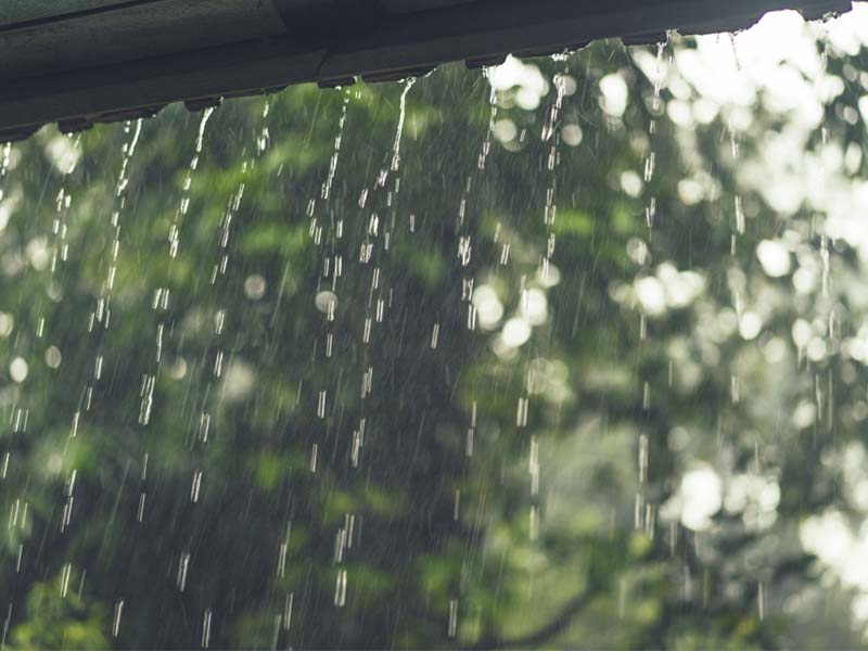 Дождь с грозой ожидается в Иркутске в пятницу
