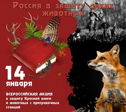 Восстание «зелёных»: всероссийский митинг за сохранение Красной книги и отказ от притравочных станций