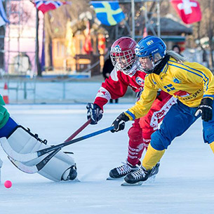 Один забитый мяч принес сборной Швеции золотые медали чемпионата мира
