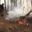 Семерых виновников лесных пожаров установили в Иркутской области