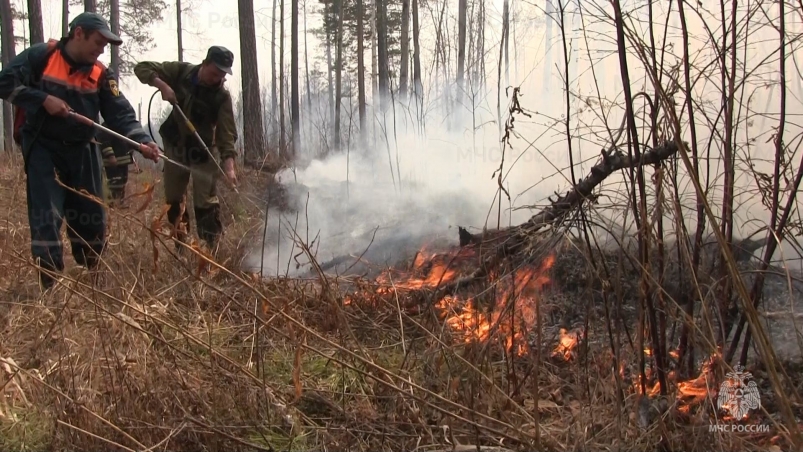 Семерых виновников лесных пожаров установили в Иркутской области