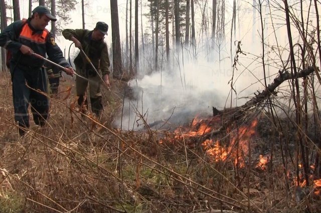 7 виновных в возникновении лесных пожаров установили в Иркутской области