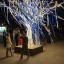 «Дерево жизни» установят в центре Иркутска в День города