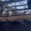 Пожар на Масложиркомбинате в Иркутске произошел из-за нарушения требований безопасности