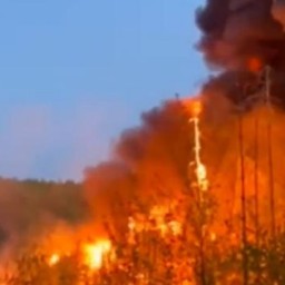 В Бодайбо произошел страшный лесной пожар из-за опрокинутого бензовоза