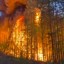 Бензовоз перевернулся и подпалил лес на севере Иркутской области