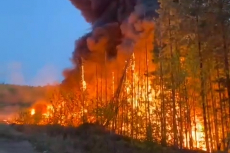 Лес загорелся в Бодайбинском районе из-за перевернувшегося на трассе топливозаправщика