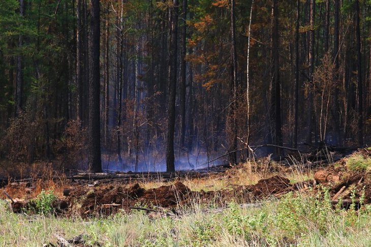 В Усть-Кутском районе потушили лесной пожар, возникший из-за грозы