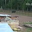 Медведь напугал мужчину на окраине Правобережного района