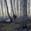 За стуки в Иркутской области потушили три вновь зарегистрированных лесных пожара
