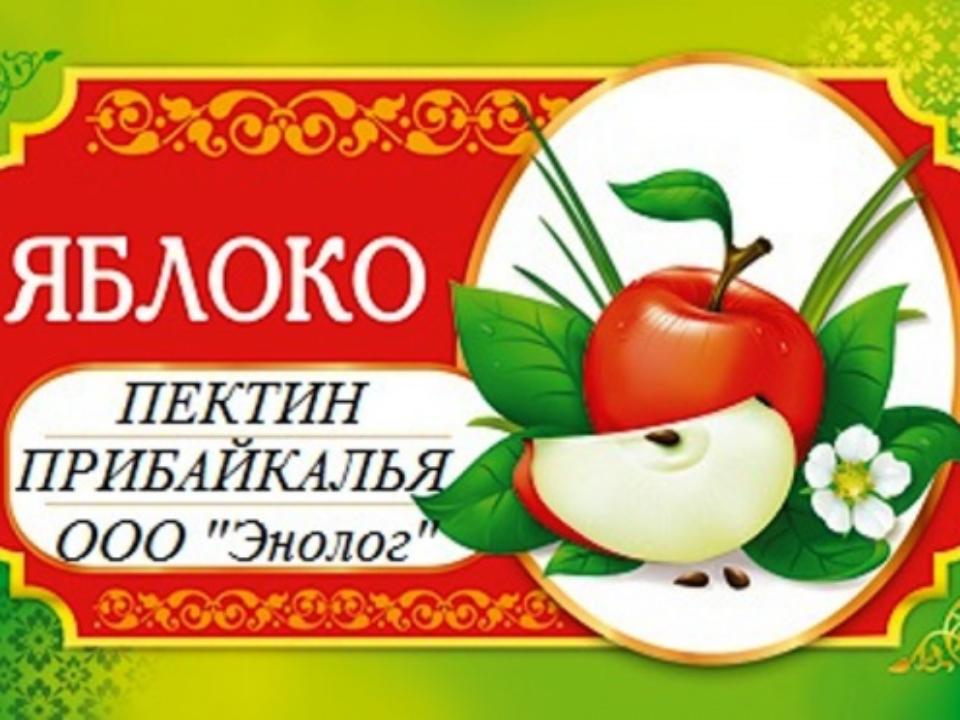 Аспирантка ИРНИТУ Алена Немчинова представила проект производства яблочного пектина на стартап-акселераторе «GenerationS»
