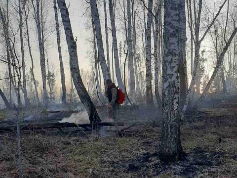 Три пожара потушили в Иркутской области за минувшие сутки