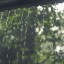 Жителей Приангарья предупреждают о ливнях с грозами 7 июня