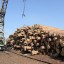 Иркутские таможенники выявили очередной контрабандный канал поставок леса в Китай