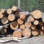 Канал контрабанды леса на 100 миллионов рублей выявили в Тайшетском районе