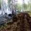 Лесные пожары могут прийти в Иркутскую область из Красноярского края
