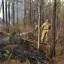 За сутки в Иркутской области обнаружили и потушили три лесных пожара