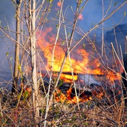 В Тайшетском районе каждый день горят мусор и трава