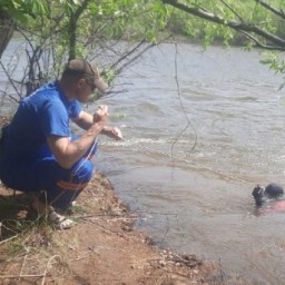 Пропавшую в Иркутске полуторагодовалую девочку ищут водолазы