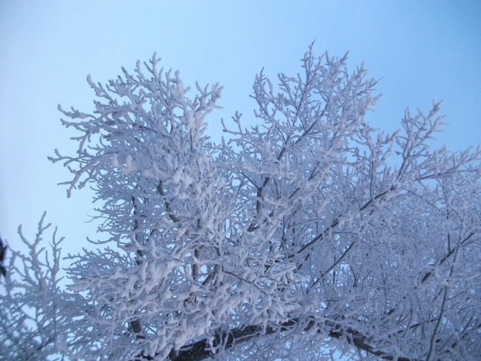 В Приангарье ожидается усиление ветра, сильный снег и метели