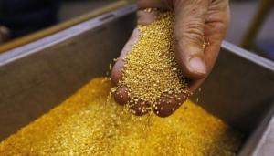 В Иркутской области установили новый рекорд по добыче золота