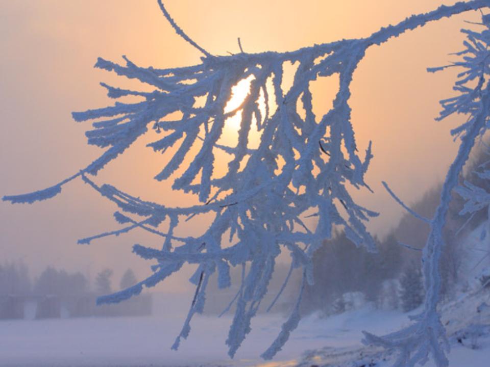 На севере Иркутской области похолодает до -56, а в Иркутске на 7-12 градусов будет холоднее обычного