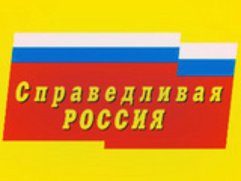 «Справедливая Россия» в Приангарье рассказала о манифесте в поддержку действующего президента России