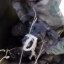 Сотрудники питомника "К-9" спасли бездомную собаку из колодца в Иркутском районе