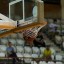 В Иркутске пройдет финал студенческого турнира по баскетболу в Сибири «Кубок Байкала»