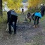 Работники Братского завода ферросплавов помогли очистить берега водохранилища