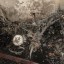 В Ангарске сгорела квартира из-за вспыхнувшего электровелосипеда