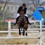 В Иркутском районе проведут конные соревнования на призы мэра Леонида Фролова
