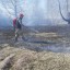 В Иркутской области нет лесных пожаров