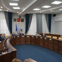 Депутаты думы Иркутска поделились предложениями по уборке ТКО