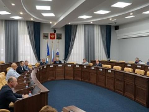 Депутаты думы Иркутска поделились предложениями по уборке ТКО