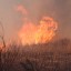 В Иркутской области в ближайшие дни существуют высокие риски лесных пожаров