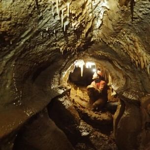 В Ботовской пещере в Иркутской области впервые обнаружили скелеты рысей