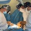 Кардиохирурги Иркутской облбольницы впервые установили сосудистый протез новорожденному