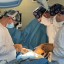 Иркутские врачи впервые установили сосудистый протез новорожденному