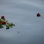 13 детей утонули на водоемах в Иркутской области летом 2023 года