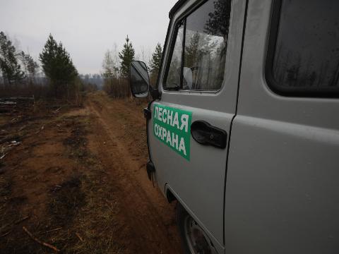 В Иркутской области действует один лесной пожар