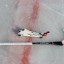 Иркутские хоккеистки в составе сборной России отправились на сборы
