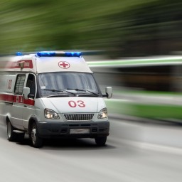Трагедия в Ангарске: подросток попробовал сушеных мухоморов и вышел в окно