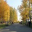 Золотая осень в тайшетском парке. Фоторепортаж