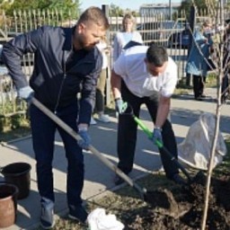 В высадке деревьев в Иркутске принял участие депутат городской думы Евгений Стекачев
