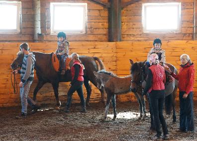Коллектив Фонда Тихомировых принял участие в конференции по адаптивному конному спорту