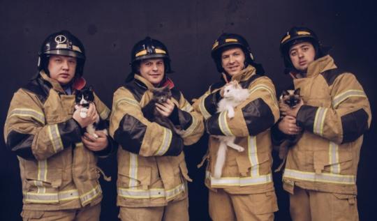 Иркутские пожарные организовали фотосессию с котами
